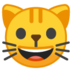 Visage de chat souriant