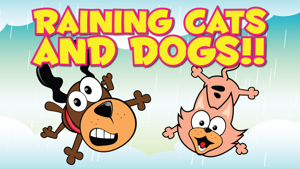 Cats and dogs