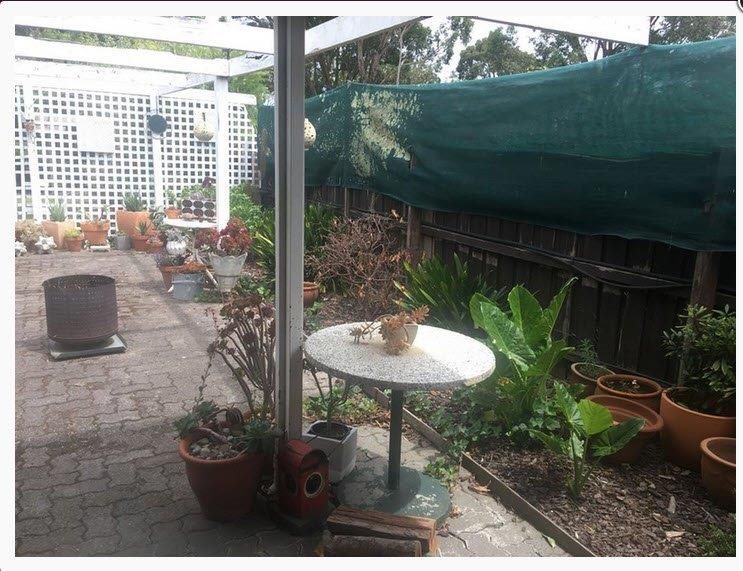 Terrace 1.jpg