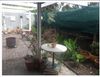 Terrace 1.jpg