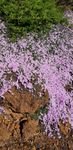 20191008_150315_resized.jpg