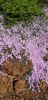 20191008_150315_resized.jpg