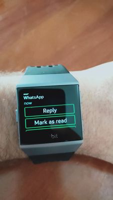 Fitbit store ionic whatsapp