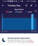 Screenshot_20191020-120456_Fitbit.jpg