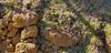 20191027_084136_resized.jpg