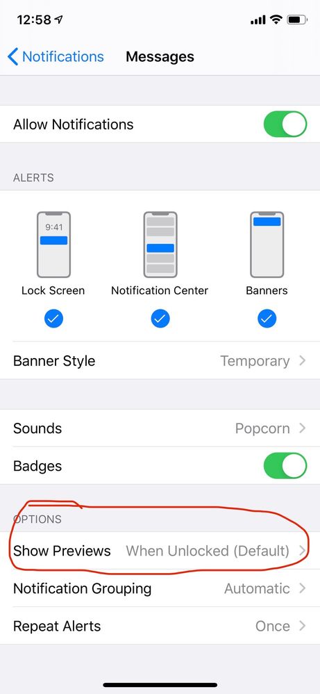 make sure that show previews says "when unlocked" or "always"