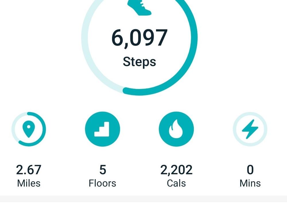Screenshot_20191130-113636_Fitbit.jpg