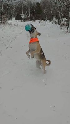 Talia during one of jump around times.