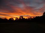 GIBSONSUNRISE.jpg