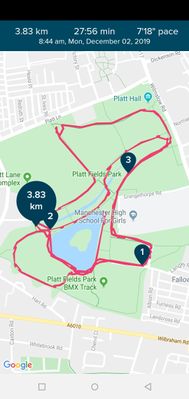 Screenshot_20191204-121838_Fitbit.jpg