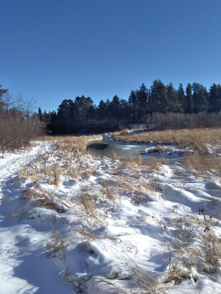 Our river- such a gorgeous peaceful place to walk by