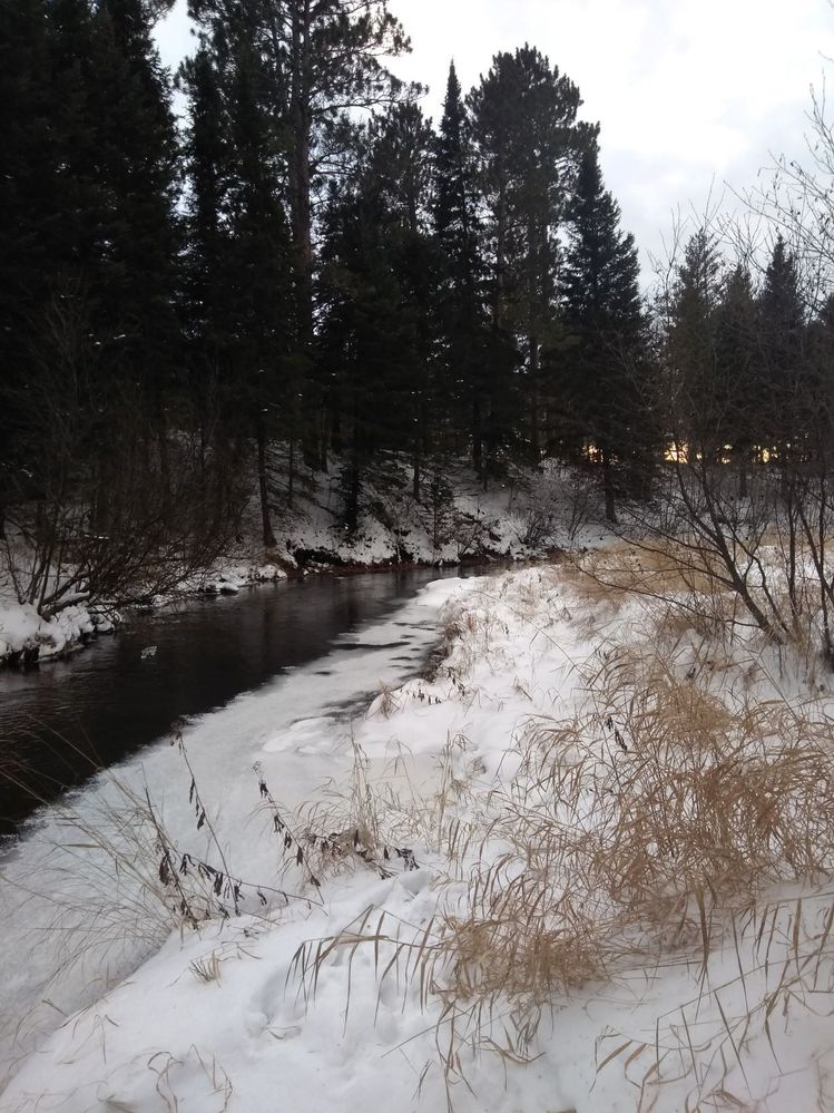 river snowshoe 122019.jpg