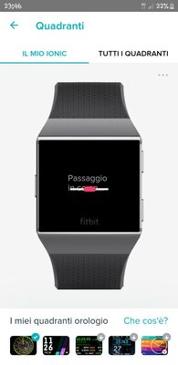 Screenshot_20191215-234642_Fitbit.jpg