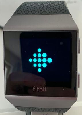 Dieses Fitbit Ionic bootet schon seit Stunden!?