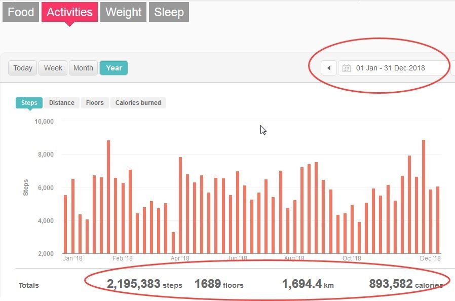 2018 fitbit.jpg