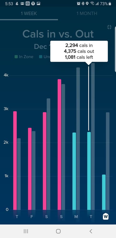 Screenshot_20191218-175322_Fitbit.jpg