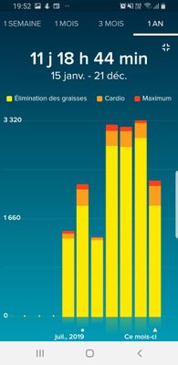 Screenshot_20191221-195236_Fitbit.jpg