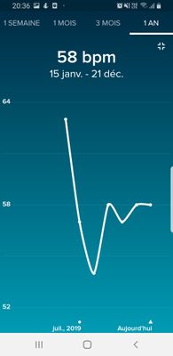 Screenshot_20191221-203619_Fitbit.jpg