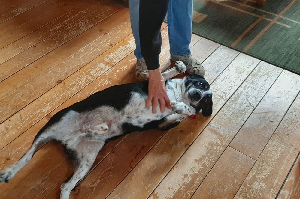 jake belly rub.jpg