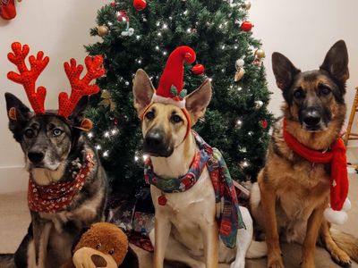 Isis, Talia and Cam on Christmas Eve