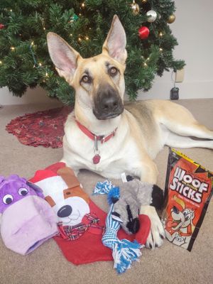 Talia showing her Christmas goodies.