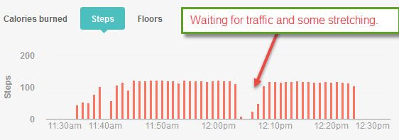 Walk 2014-08-30 50 minutes steps.jpg