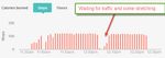 Walk 2014-08-30 50 minutes steps.jpg