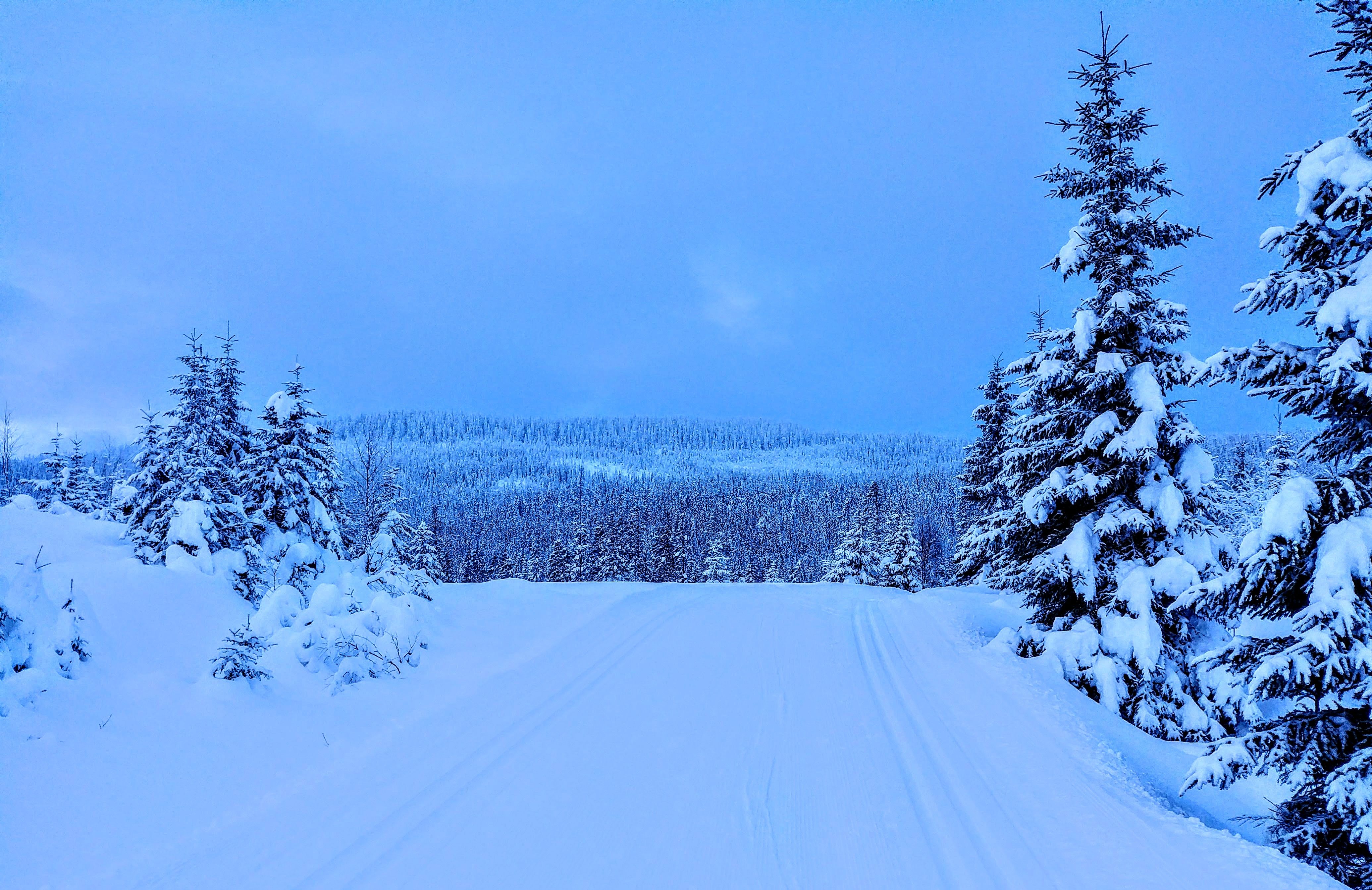 fitbit charge 3 skiing