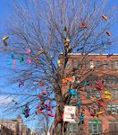 Shoe Tree