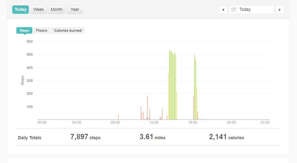 Fitbit2.JPG