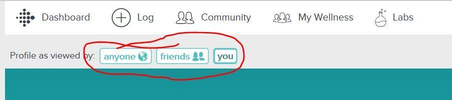 fitbit-profile-view.JPG
