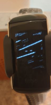15781210033155884297289131336814.jpg