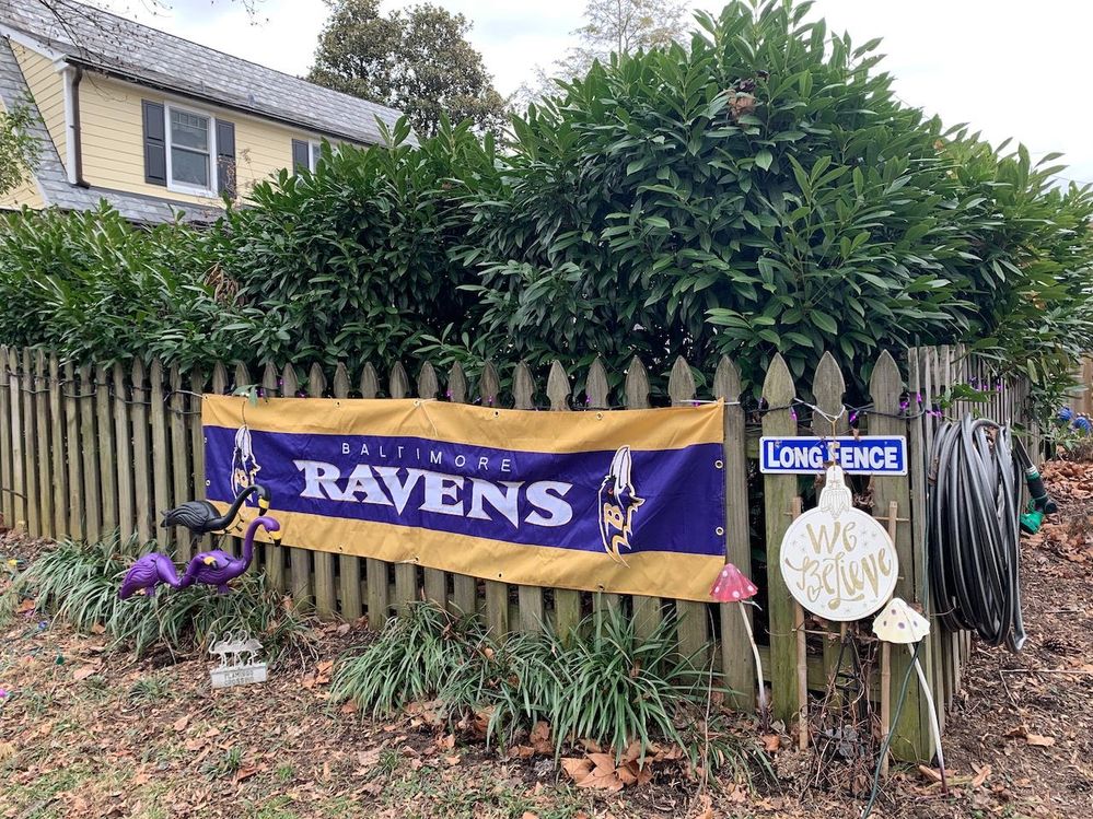 Some of our home decorations for the game