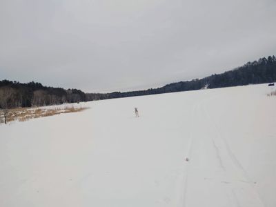 Playing ball on the lake.