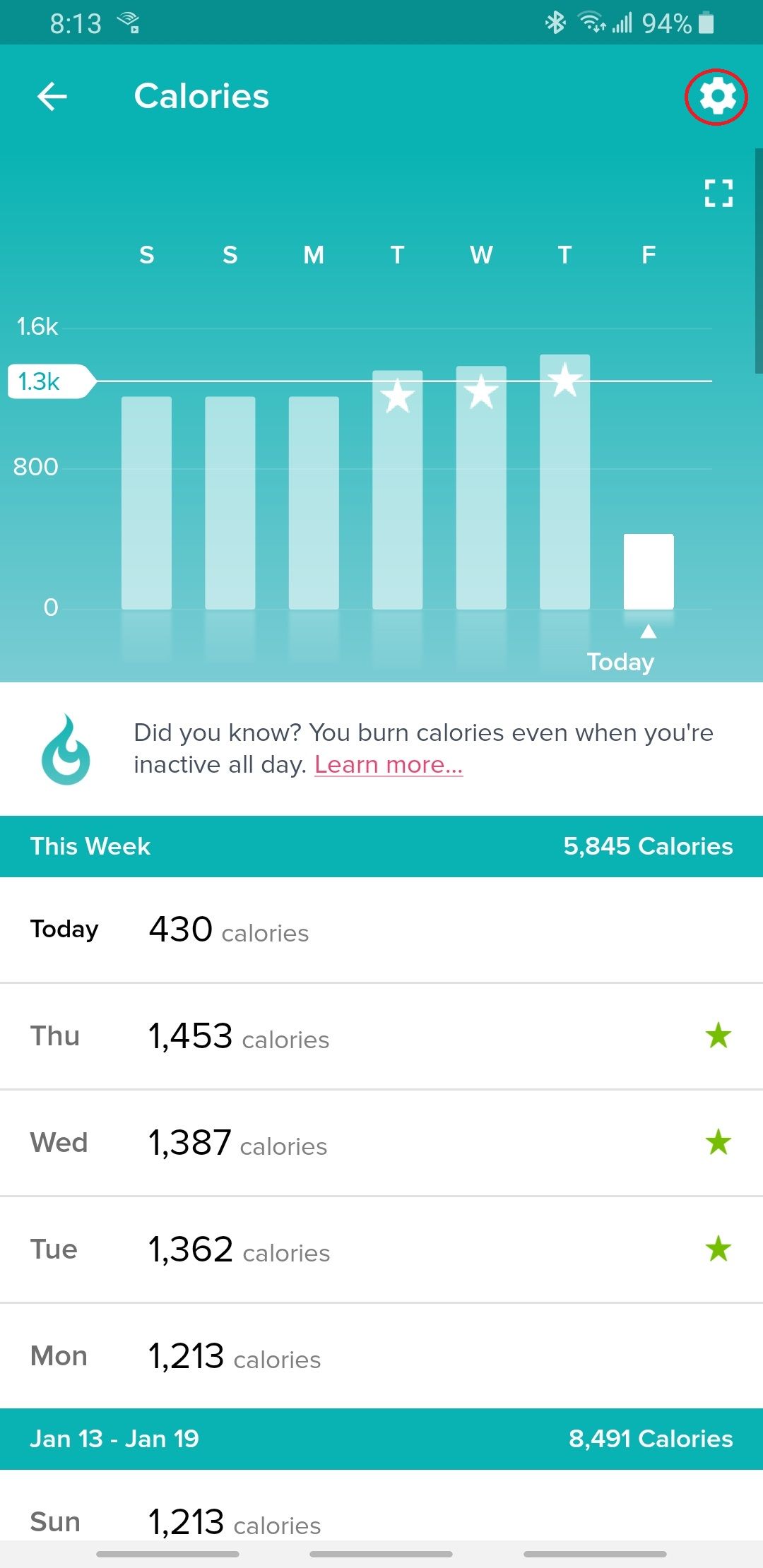 burn 3000 calories a day fitbit