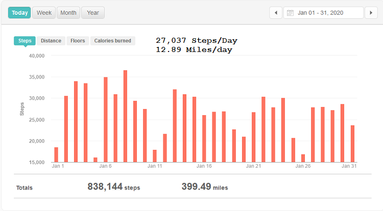 January Steps.png