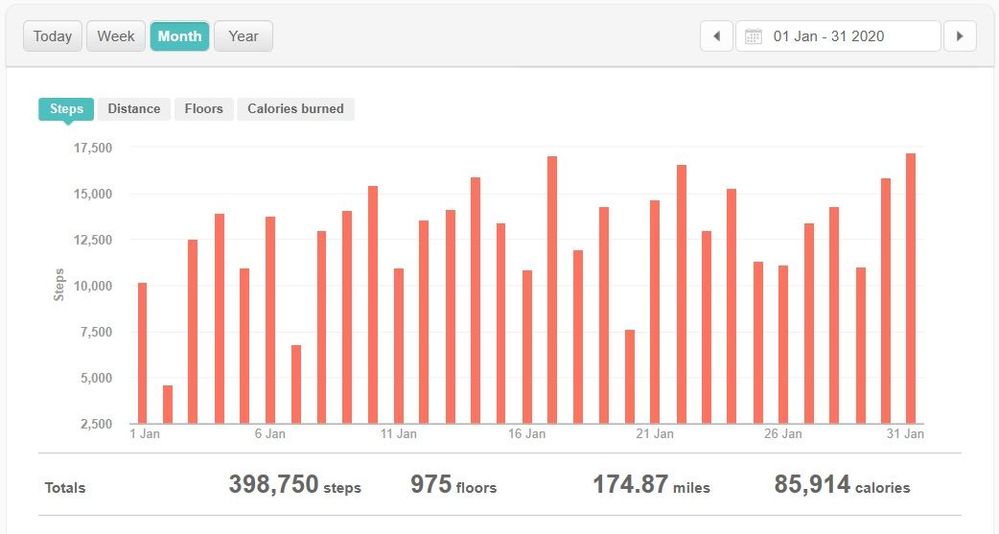 Jan 2020 steps.jpg