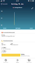 Fitbit.PNG