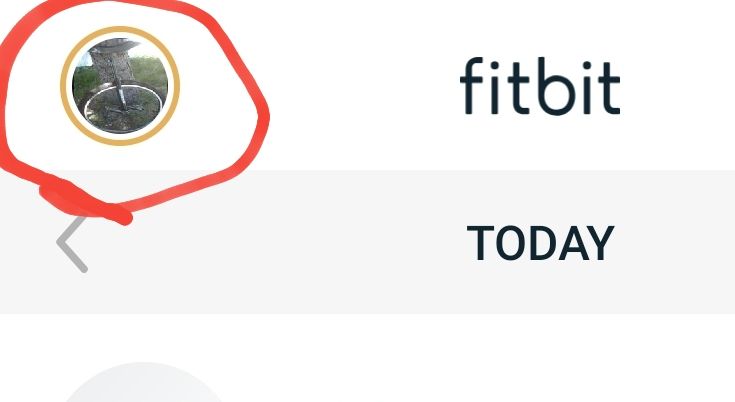 strava fitbit ionic