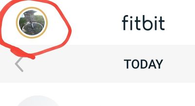 Screenshot_20200208-222013_Fitbit.jpg