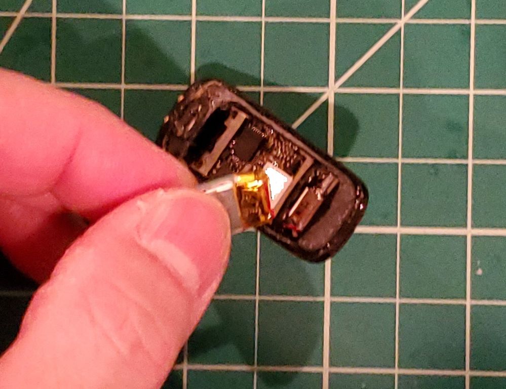 fitbit-one-battery-remove.jpg