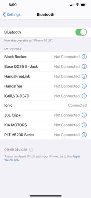 No Info Icon beside Ionic BlueTooth Entry.jpg