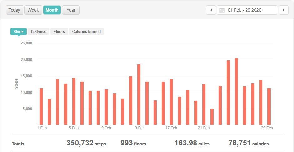 Feb 2020 steps.jpg