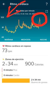 Screenshot_20200306-202550_Fitbit.jpg