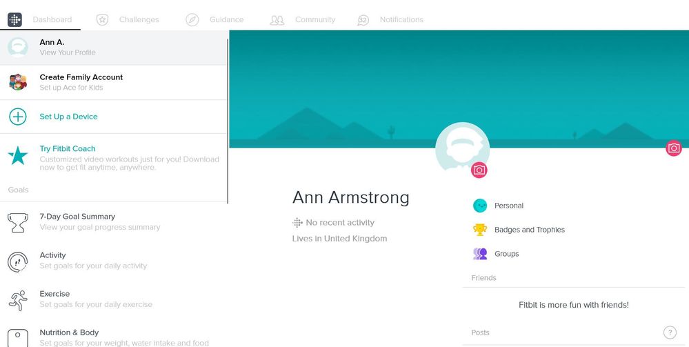 Fitbit account.JPG