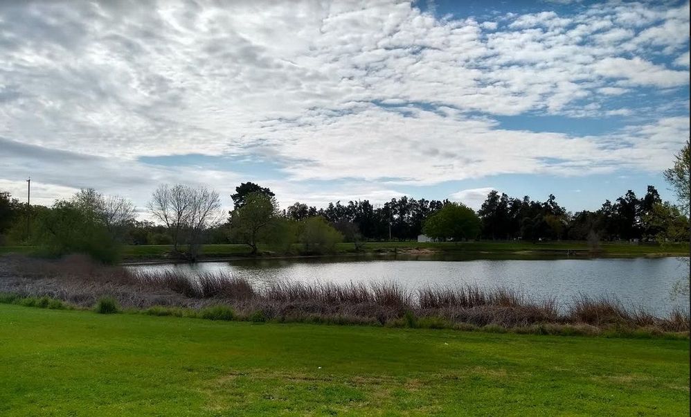 gibsonlake100.jpg