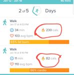Screenshot_20200406-194552_Fitbit.jpg