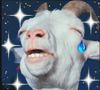 goatcrying.jpg