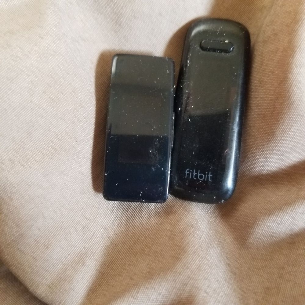 15862684829407519709916457910287.jpg