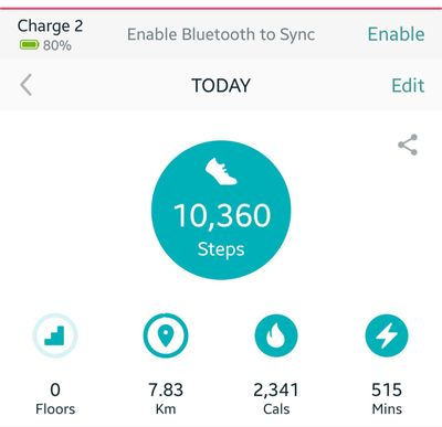 Fitbit 2025 step counter